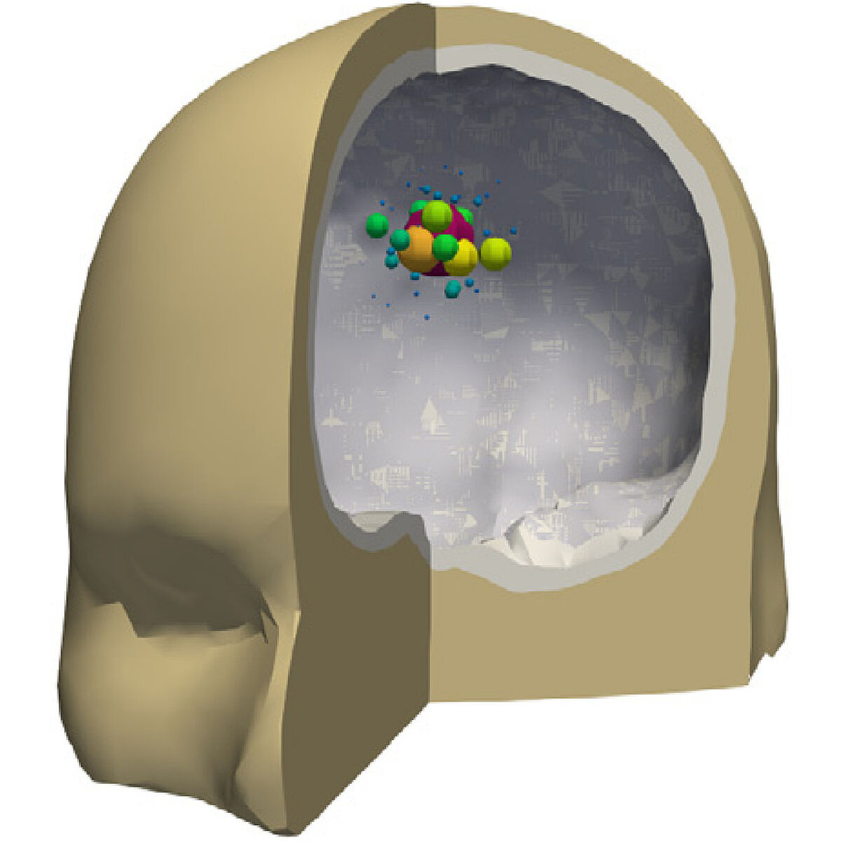 Bioelektromagnetismus